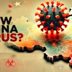 Reported Increase in Human Metapneumovirus Cases Raises Public Health Concerns in China
